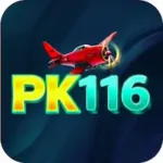pk116_game_apk